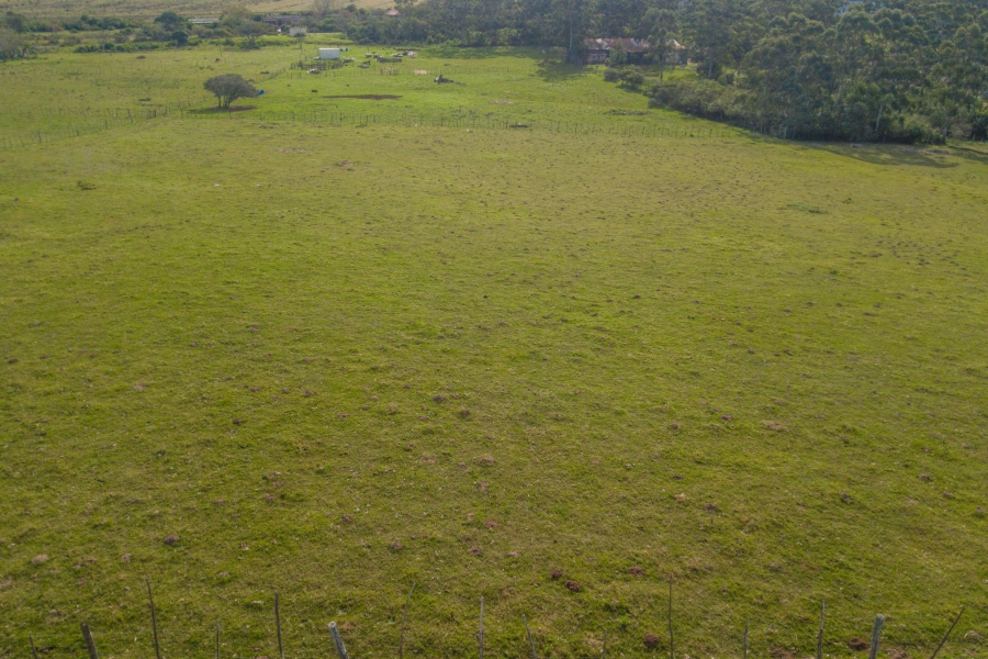 0 Bedroom Property for Sale in Alexandria Eastern Cape